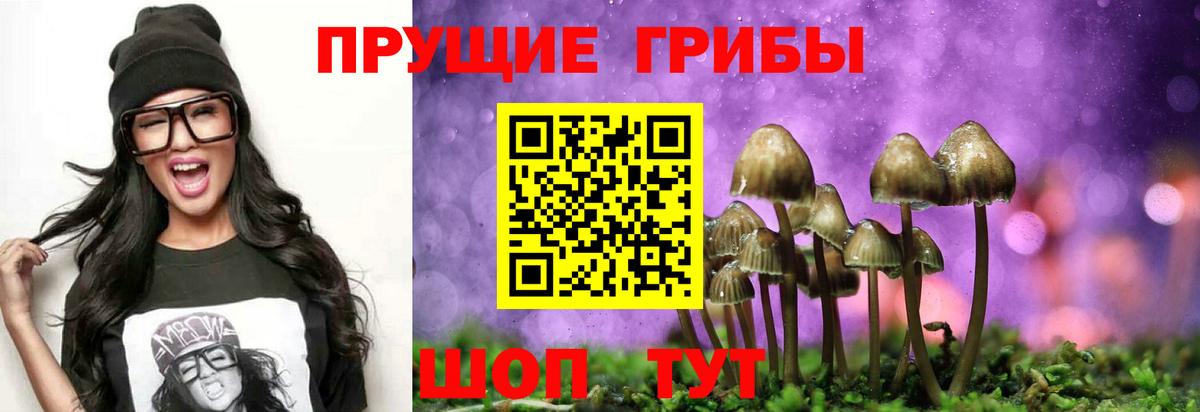 Псилоцибиновые грибы Cubensis  Галлюциногенные грибы Psilocybe  Родники  закладки  Вход с VPN 