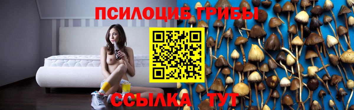 Галлюциногенные грибы Magic Shrooms Родники